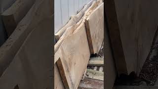 Hardwood Slabs for furniture builds #shorts