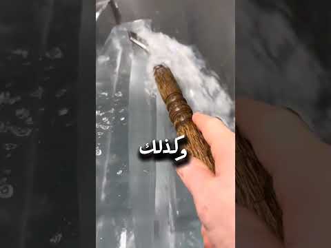 هل تعلم كيف خلق الله القطط والخنازير 