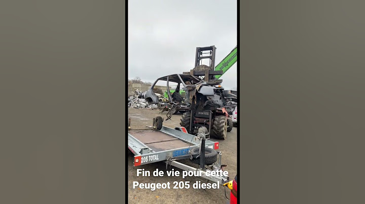 Fin de vie pour cette Peugeot 205 diesel 🫡 #peugeot205 #205 #peugeot #destruction