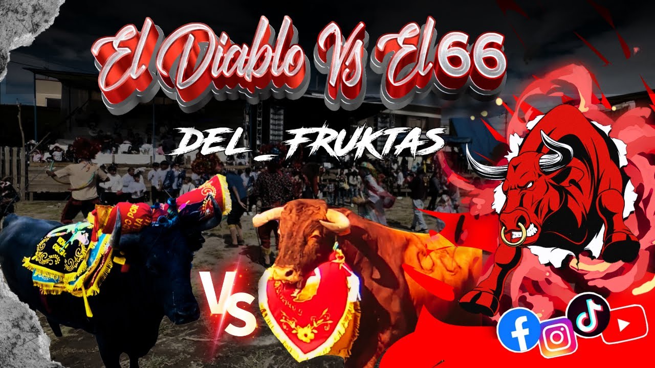 EL FAMOSO DIABLO🔥Vs EL 66🐂 DEL- FRUKTAS ✨CUAL ES EL MEJOR EJEMPLAR?? 😮‍💨 COMENTA Y SUSCRÍBETE