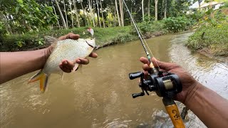 BFS Fishing, randuk sungai Chempias pelbagai spesis ikan