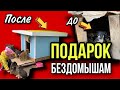 Подарила шикарную будку несчастным песикам