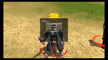 [Metin2] Client Mods ~ Sammelvideo 1