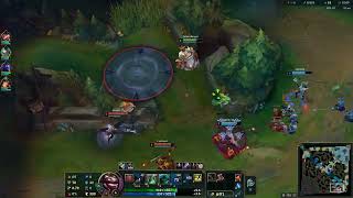 Ranked Tahm Kench Support