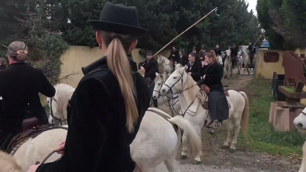 2025 ARLES - MANIFESTATION DES MANADIERS