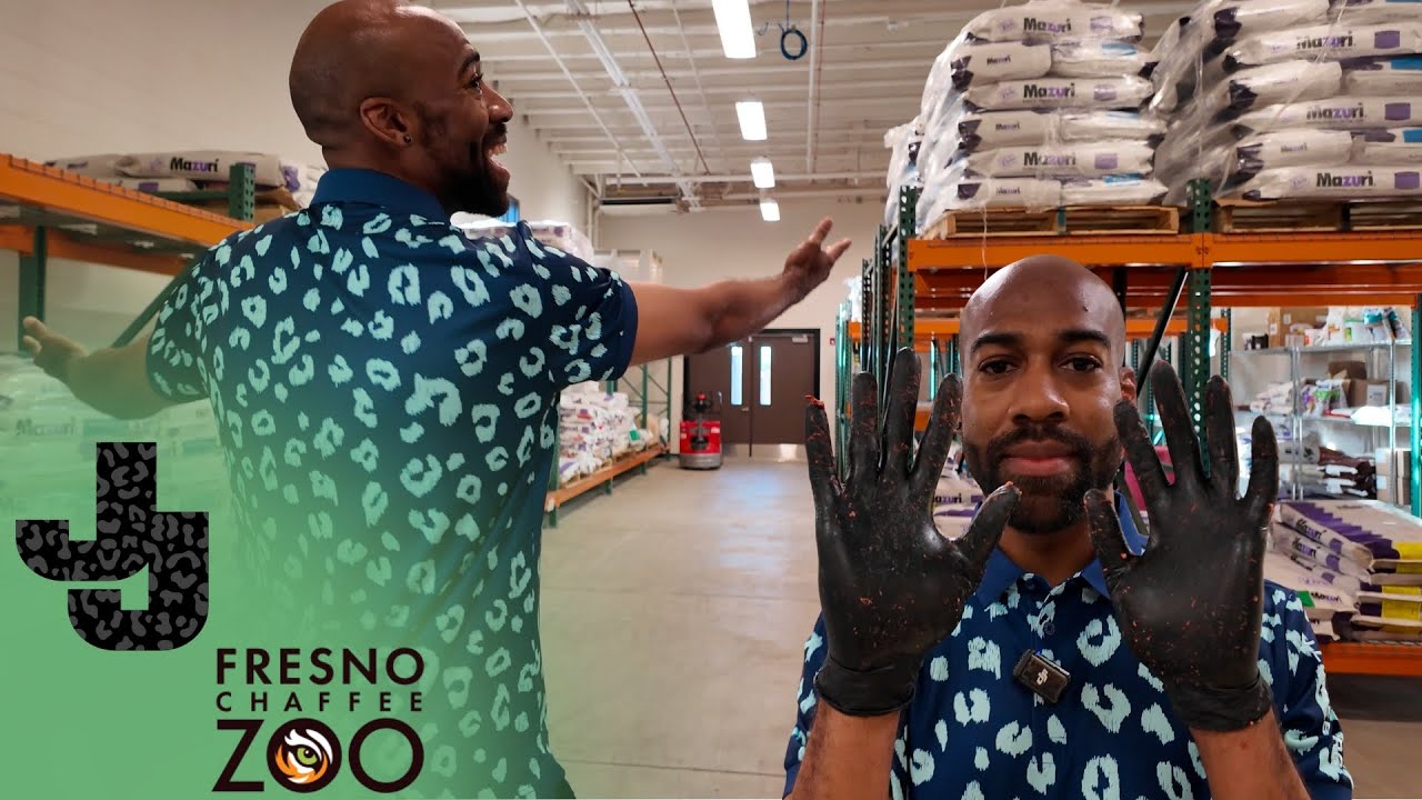 Time To Make Animal Food In The BIGGEST Zoo Commissary