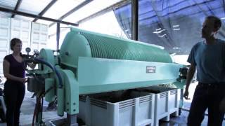 Winemaking 101: Preparing for Harvest with Fred Scherrer