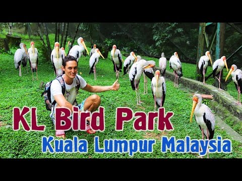 Video: Posjeta Beautiful KL Bird Parku Kuala Lumpura