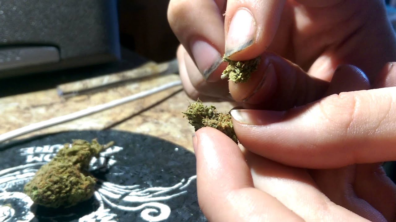 Hindu Kush!!! Guest star Tokin Dave