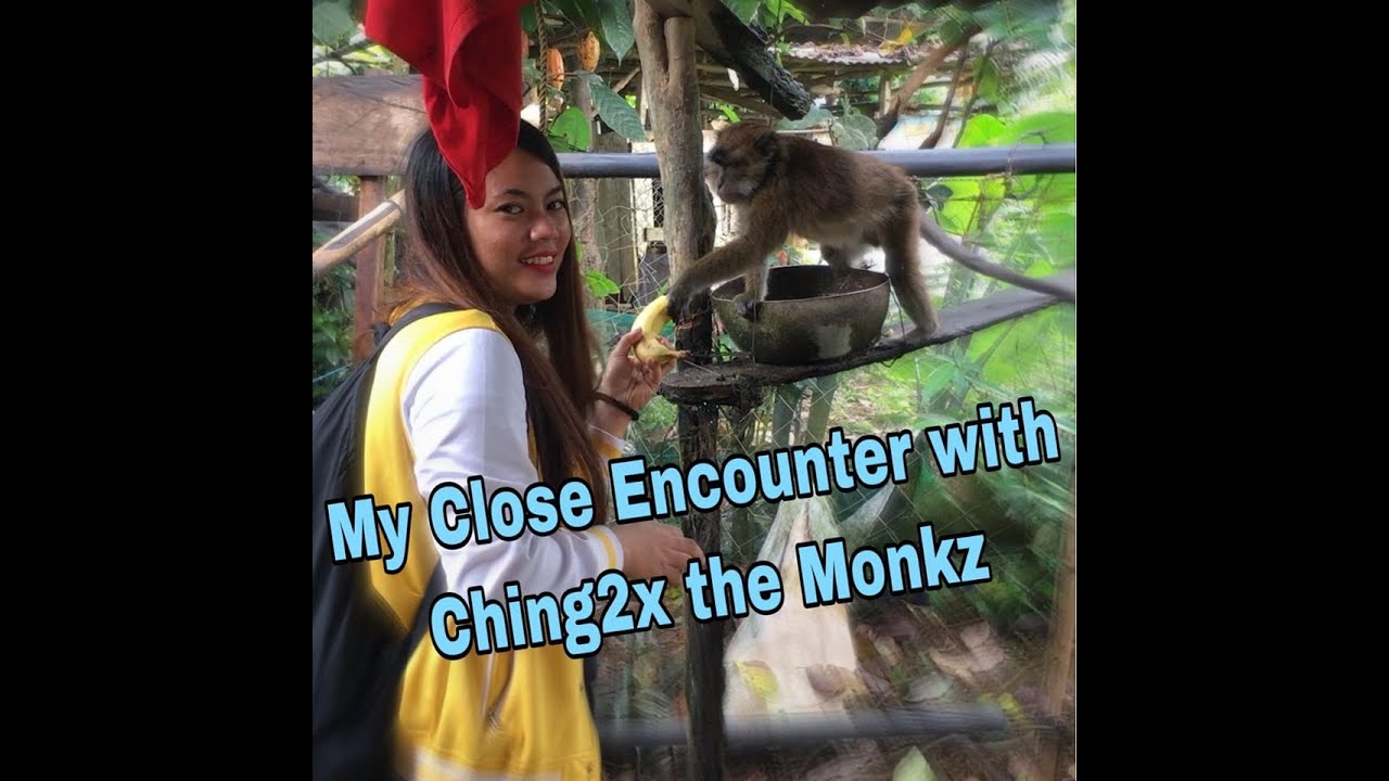 A Close Encounter with Monkey