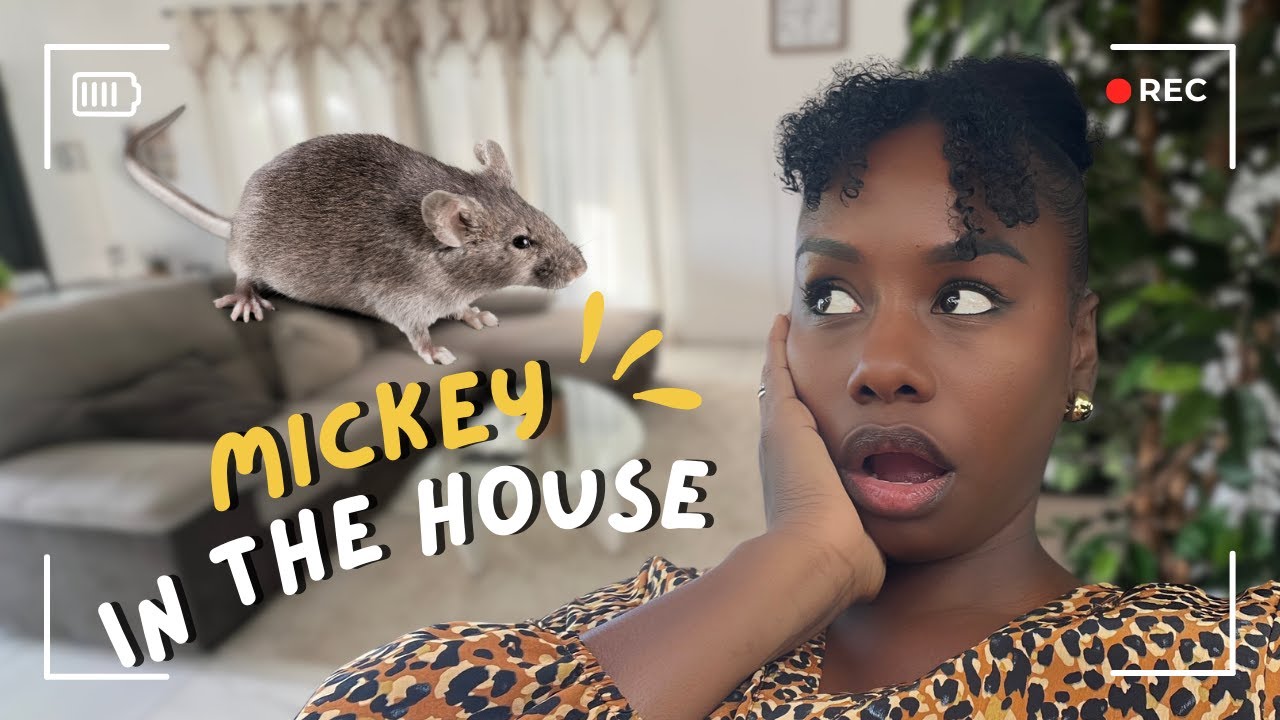 LA SOURIS : MICKEY IN THE HOUSE