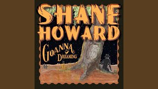 Don't Give Up On Us - Shane Howard