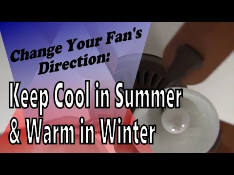 How To Change Your Ceiling Fan S Blade Direction Keep Cooler In The Summer And Warmer In The Winter