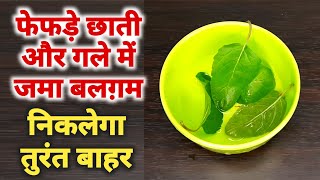 बस 3 बार में फेफड़े छाती गले में जमा हुआ कफ़ बलगम तुरंत बाहर दोबारा कभी नहीं होगा Cough Remedy Perfect