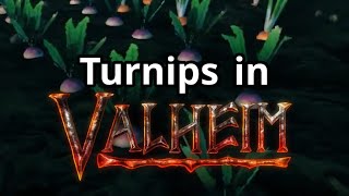 How to Find Turnip Seeds in Less Than 30 Seconds Information