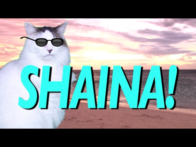 HAPPY BIRTHDAY SHAINA! - EPIC CAT Happy Birthday Song