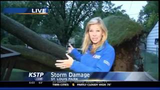 Storms Drop Damaging Hail on Twin Cities