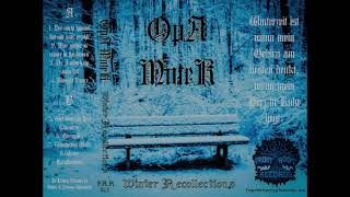 Opa Motek - "Winter Recollections" (Comfy Synth / Fantasy Ambient ) (Full Album 2021)