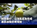農業防寒措施