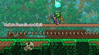 How To Make Hoiks Terraria Mobile