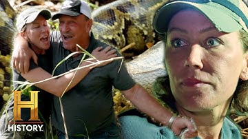 Python Hunting in the "River of Grass" | Swamp People: Serpent Invasion (S4) | History