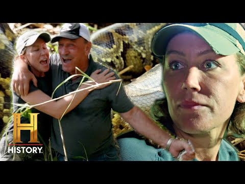 Python Hunting in the "River of Grass" | Swamp People: Serpent Invasion (S4) | History
