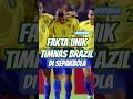 fakta unik brazil