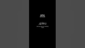 إن المجرمين في عذاب جهنم خالدون | كرومات قرآن كريم بصوت #ياسر_الدوسري | #سورة_الزخرف