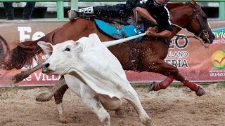 El Coleo, un trabajo hecho deporte - TvAgro por Juan Gonzalo Angel ...