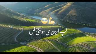 Excuse me song in pashto Music  screenshot 4