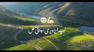 Excuse me song in pashto Music 