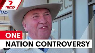 Barnaby Joyce calls One Nation 'one of the gayest parties' | 7NEWS