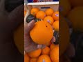 برتقال أسباني برتقال أبو سره درجة أولى حياكم الله في فواكه نية طيبة 