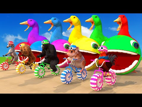 5 Giant Duck Chicken Mouse Lion Zebra Monkey Car Ride Big Wheels Saved By Woolly Robot Pacman Monkey