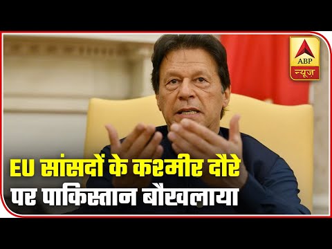 eu-mps-visit-exposes-pakistan's-claims-about-jammu-and-kashmir-|-abp-news