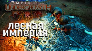 СИМУЛЯТОР САМЫХ ОПАСНЫХ МУРАВЬЁВ - Empires of the Undergrowth!!!