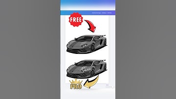 You Can Get Canva Pro for FREE With This