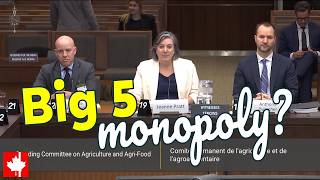The Big 5 monopoly? Why your groceries are so expensive | Competition Bureau investigates