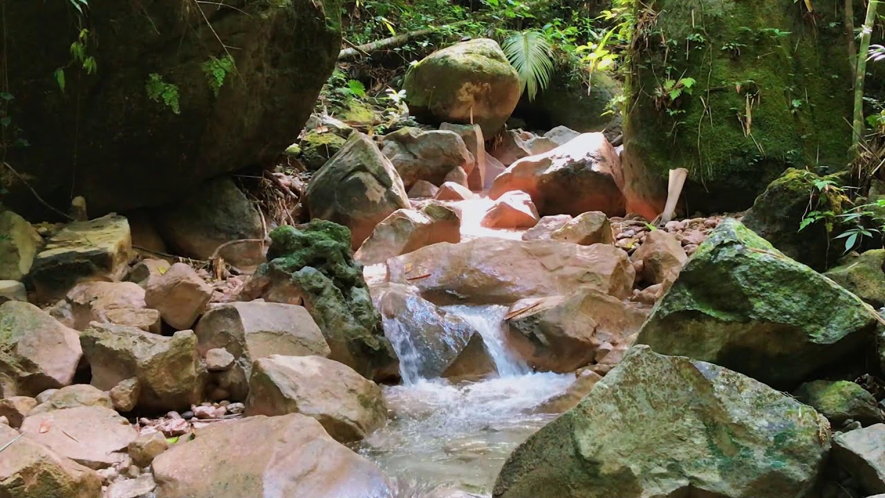 Soft Valley River Ambience | For Productivity & Soothing the Soul