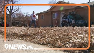 Car remains lodged in Adams County home days after deadly shooting, crash