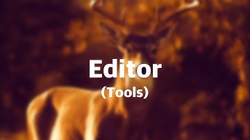 Superimpose X Tutorial: Editor (Tools)