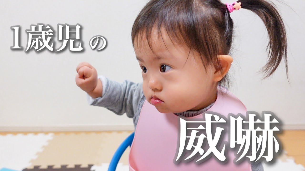 【ダウン症】全然怖くない威嚇を繰り返す1歳児がこの人です【ブチ切れ】