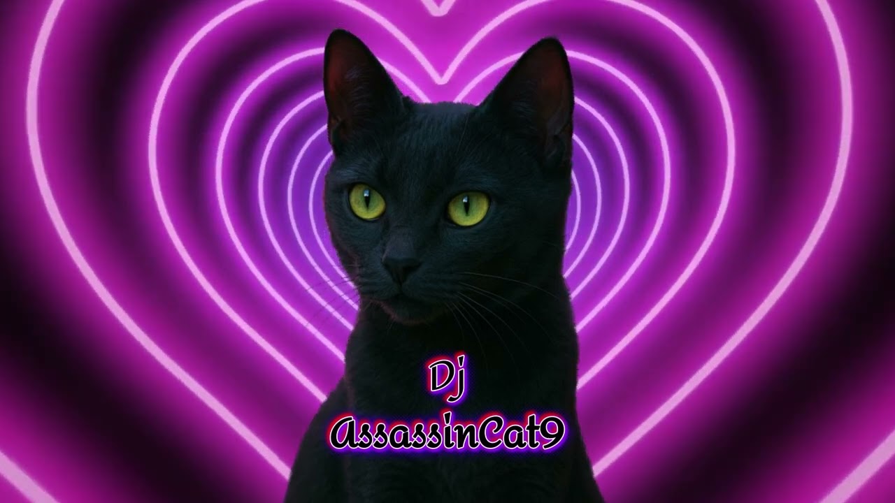 DjAssassinCat - After Midnight (Deep → Techno)