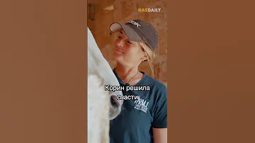 У неё 80 лошадей