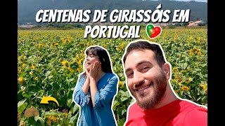 Achamos um campo de girassóis e uma praia linda! 🇵🇹🌻😍