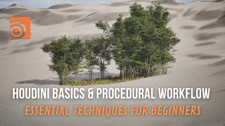 Houdini Basics & Procedural Workflows: Essential Techniques for Beginners #houdini #proceduralart