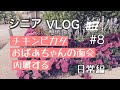 シニア ライフ 60代主婦の日常 おばあちゃんの面会 内職する チキンピタカ