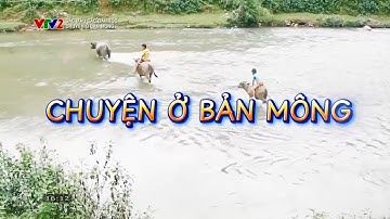 Chuyện ở bản Mông - văn hóa nơi đại ngàn | Sắc màu các dân tộc | VTV