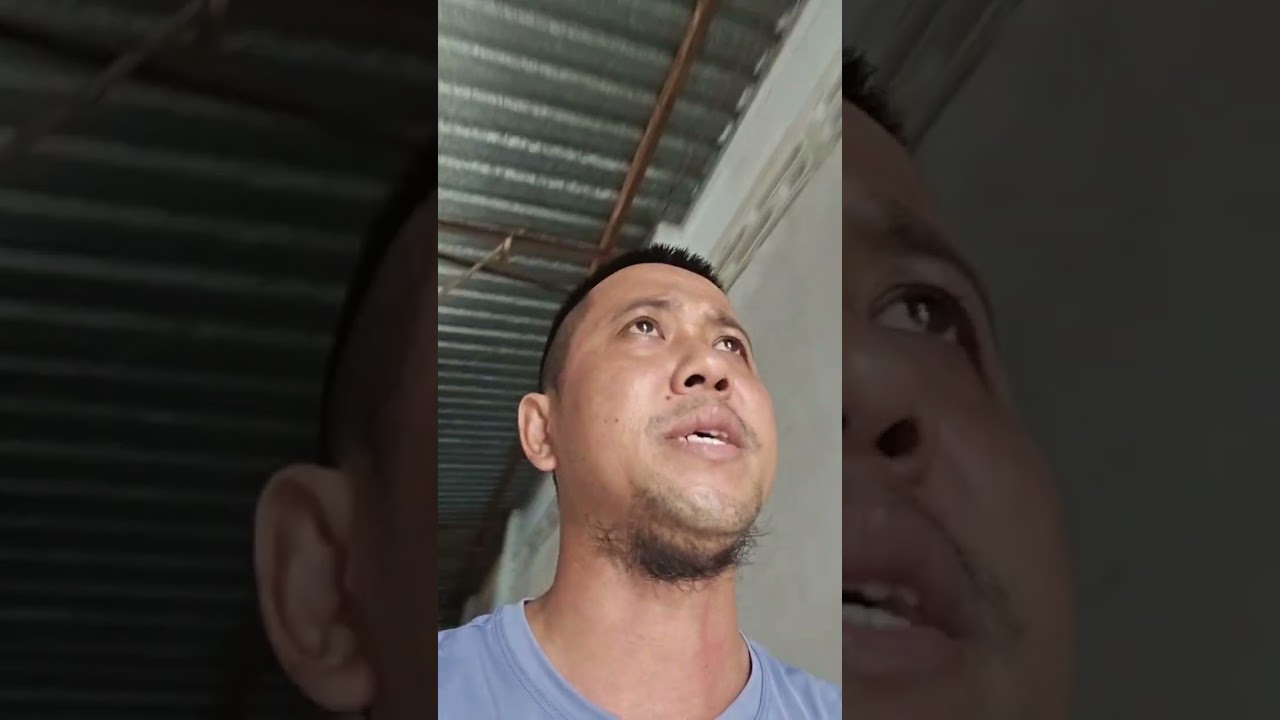 Cách chăm chào mào thực tế với các CB Thi giải Xe của Nam Râu