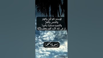 سورة النحل الآية ١٠ الى ١٣ بصوت الشيخ ماهر المعيقلي
